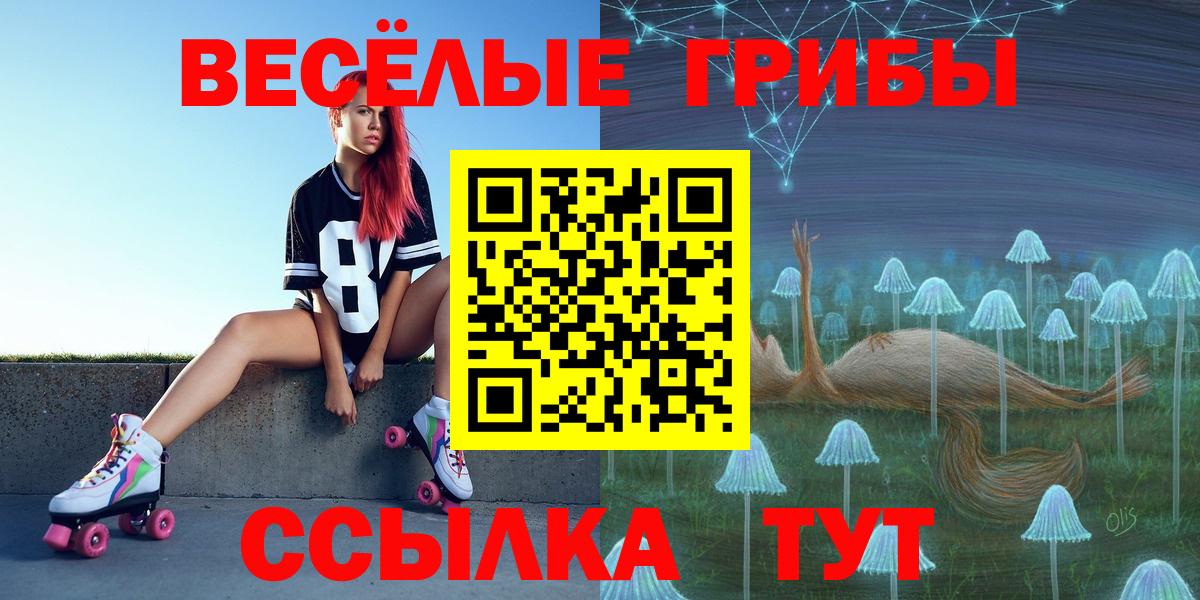 Псилоцибиновые грибы Psilocybe  сколько стоит  Муром  Вход с VPN 